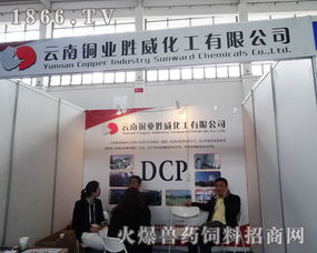 跨界融合 云南銅業(yè)勝威化工亮相中國飼料工業(yè)展覽會，展現(xiàn)銅業(yè)化工應用新潛力