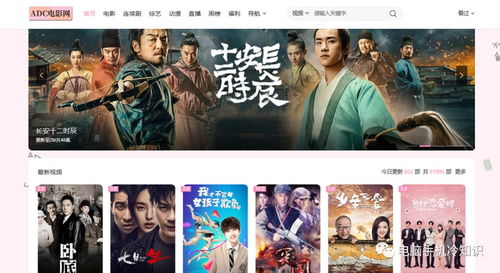 8大超牛的精品影視網(wǎng)站 免費資源與低調使用的全面指南，附帶電影攝制服務推薦